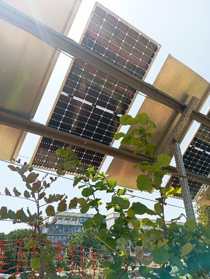 Imagem 3 do espaço Horta Solar – Demonstrador Agrivoltaico 